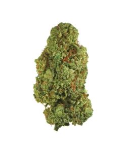 amnesia haze green house