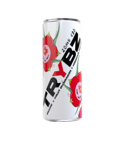 canette cbd trybz dragonfruit