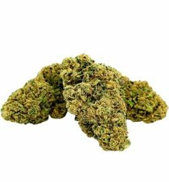 Critical Kush 10 OH HHC