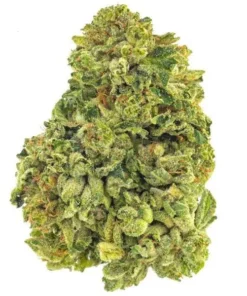 Orange Bud 10-OH-HHC 25% - Fleur Découvrez notre variété Orange Bud 10-OH-HHC CBD, un cannabis relaxant avec une teneur élevée de 25% en 10-OH-HHC. Cette beuh se distingue par sa couleur verte, ses pistils orangés et sa texture croquante. Elle dégage un parfum prononcé et ses effets sont puissants. Achetez du 10-OH-HHC en ligne dans le meilleur CBD shop online ! Catégorie : Fleur 10-OH-HHC Taux de 10-OH-HHC : 25% Taux de THC :