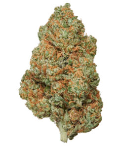 Fleurs CBD Harlequin