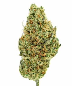 Fleurs 10 OH HHC Critical Kush