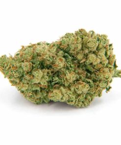 Amnesia Haze 10-OH-HHC 25%