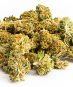 Small buds indoor Blueberry 10-OH-HHC