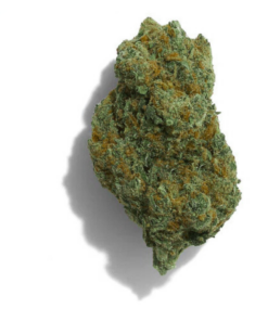Fleurs Bubble Gum CBD