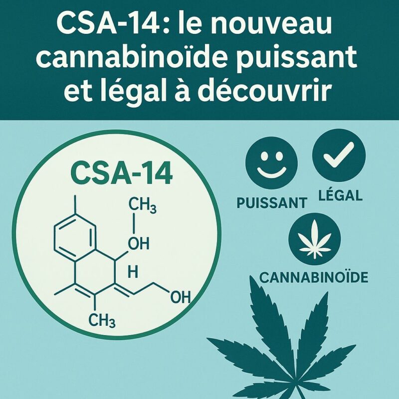 CSA-14 Le nouveau cannabinoide puissant et légal