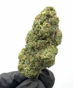 Crystal Snow Hydro THX +