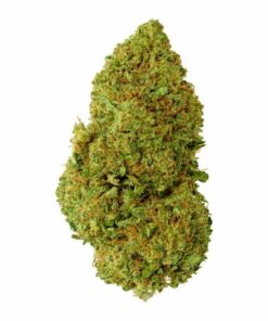 Gros plan sur une fleur California Kush THV, affichant une structure dense et compacte, aux teintes vert vif avec des reflets orangés et une couverture de trichomes cristallins.