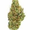 Fleur Super Gelato CBDX Une variété premium à l’arôme fruité et sucré.