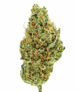 Fleur Super Gelato CBDX Une variété premium à l’arôme fruité et sucré.